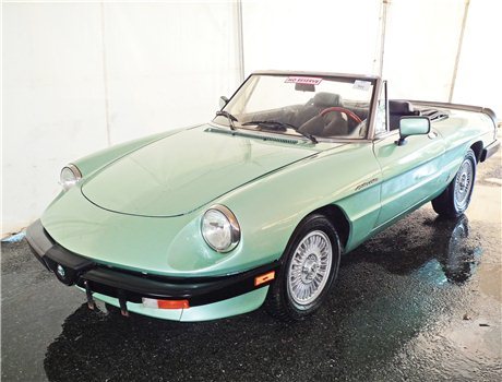 1985 Alfa Romeo Spider 