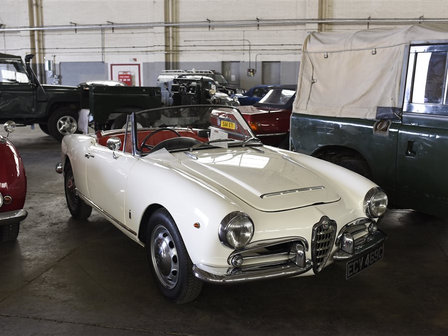 1965 Alfa Romeo Giulia Spider