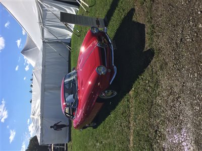 1964 Alfa Romeo Giulia Sprint Speciale coupe
