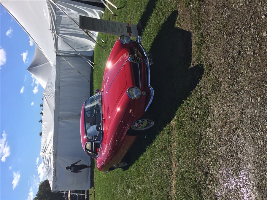 1964 Alfa Romeo Giulia Sprint Speciale coupe