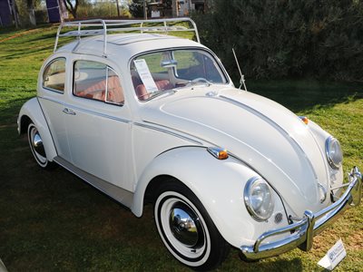 1964 Volkswagen Beetle 2-dr sedan