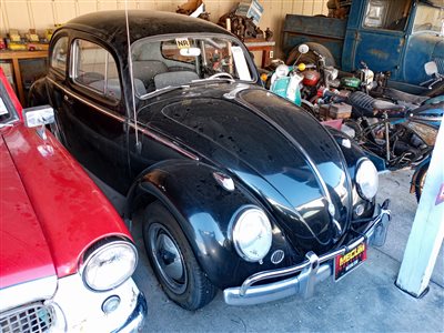 1959 Volkswagen Beetle 2-dr sedan