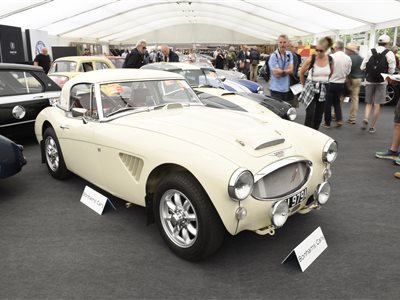 1964 Austin-Healey 3000 MkII rally car roadster