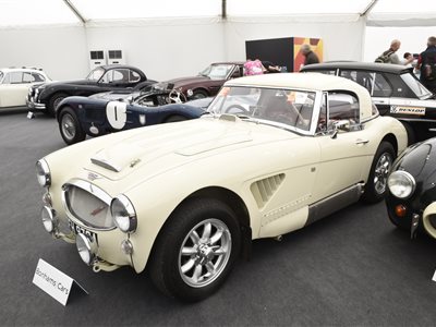 1964 Austin-Healey 3000 MkII rally car roadster
