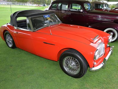 1965 Austin-Healey 3000 Mk III convertible