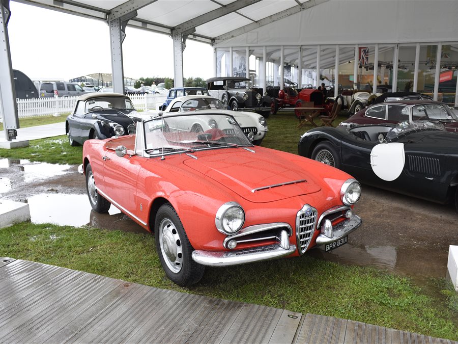 1963 Alfa Romeo Giulia Spider