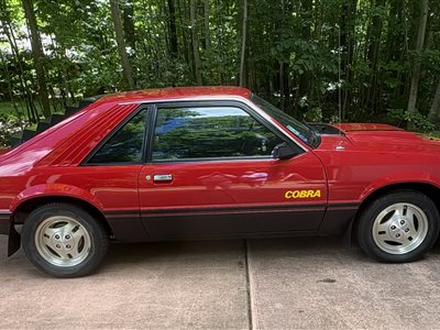 1979 Ford Mustang Cobra fastback