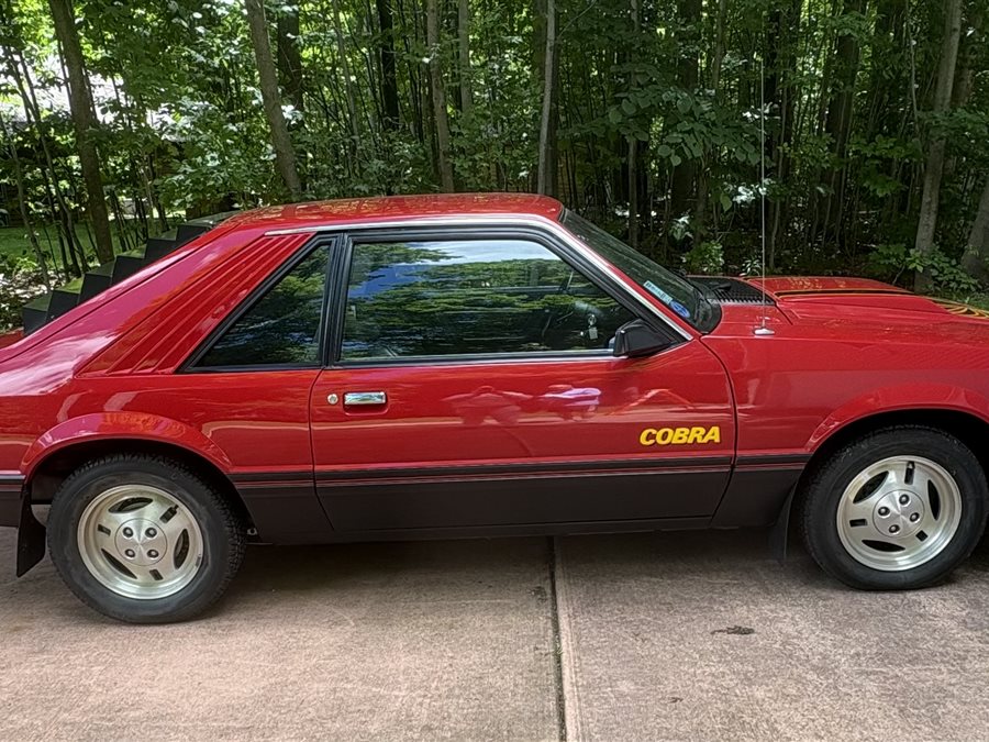 1979 Ford Mustang Cobra fastback